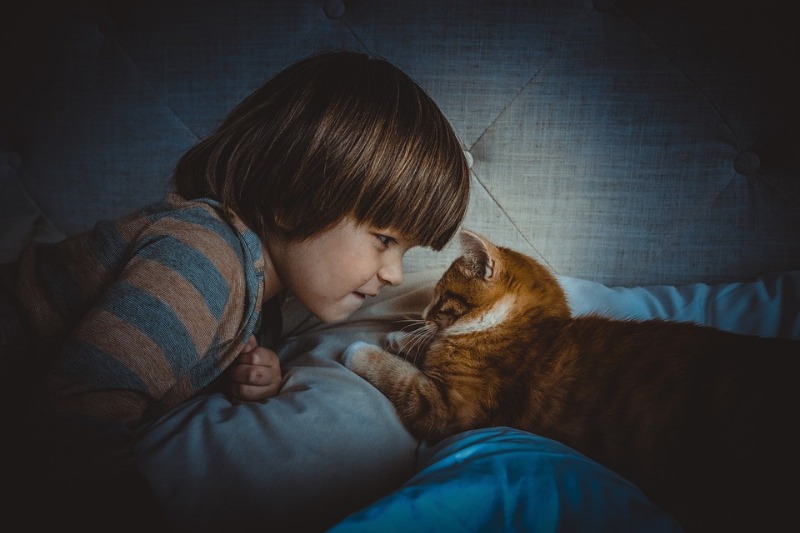 Может ли потребление кошачьей пищи нанести вред здоровью ребенка?