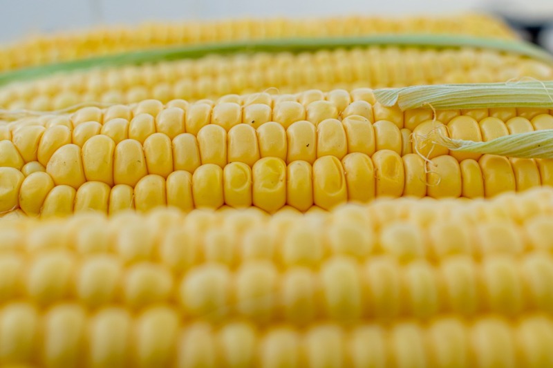 Польза варенной кукурузы для здоровья